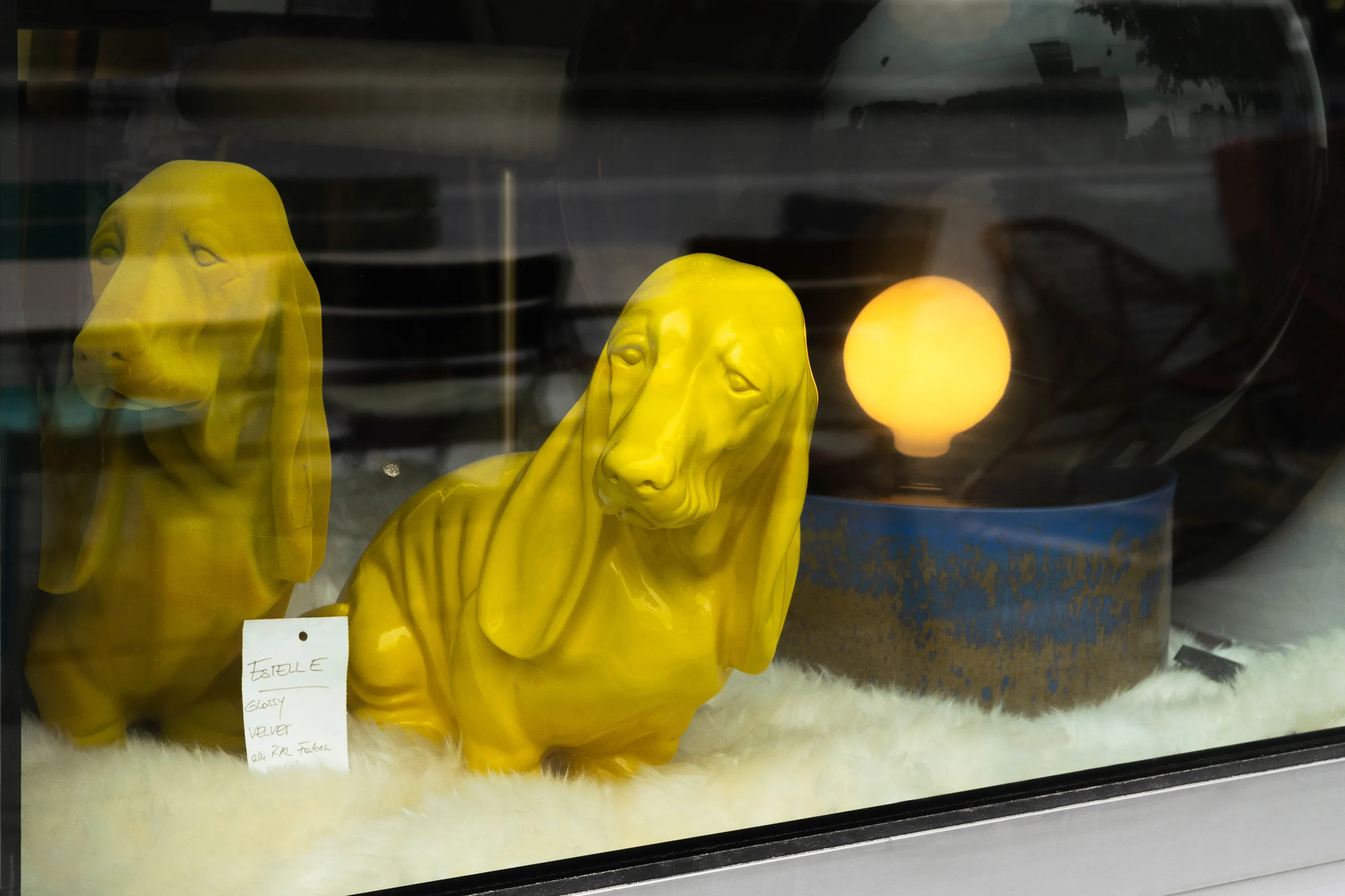 Bild des Schaufensters mit zwei gelben Hunden und einer Lampe